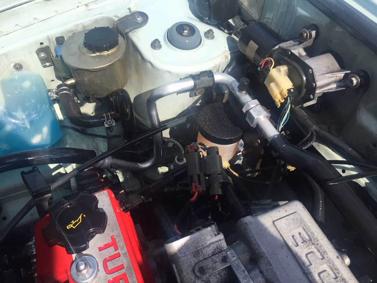 Cleaned Engine Bay