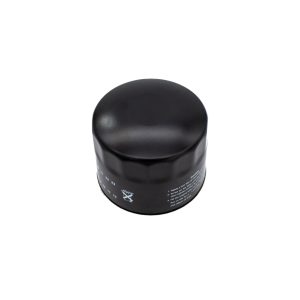 Nissan Figaro Oil Filter In Satin Black Top View