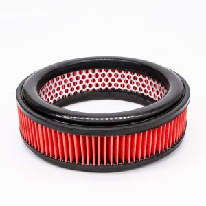 Nissan Pao Air Filter