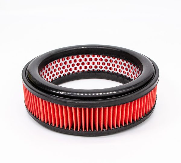 Nissan Pao Air Filter