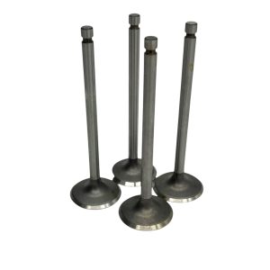 Set of 4 Nissan Figaro Inlet Valves Vertical