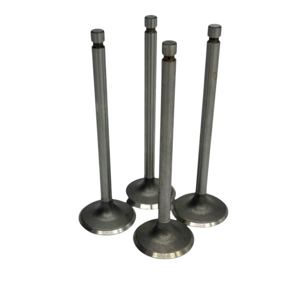 Set of 4 Nissan Figaro Inlet Valves Vertical