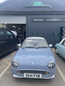 Blue Figaro